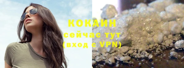 крисы Лагань