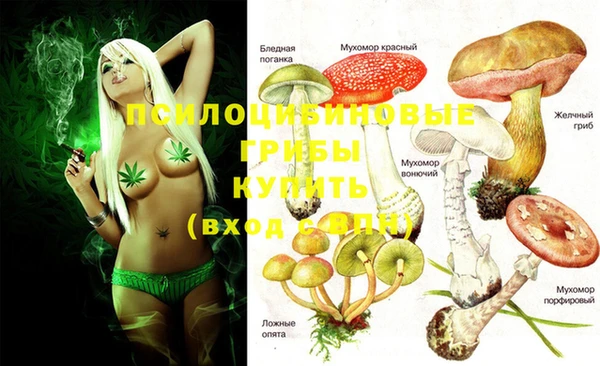 MDMA Premium VHQ Липки