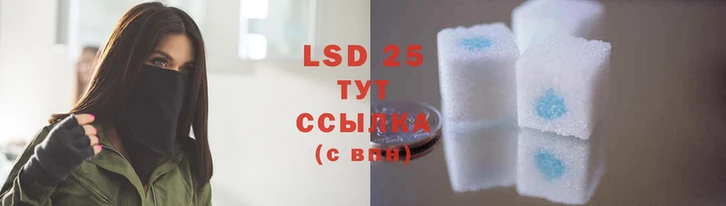 2c-b Лихославль
