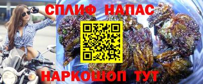 PSILOCYBIN Аргун