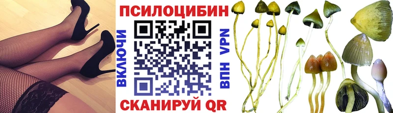 сайты даркнета формула  Кузнецк  Галлюциногенные грибы мухоморы  где можно купить наркотик  MEGA маркетплейс 