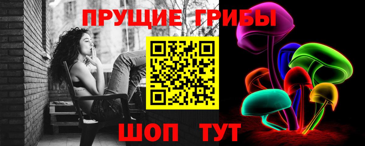 Кузнецк  Псилоцибиновые грибы Psilocybine cubensis  Вход с VPN 