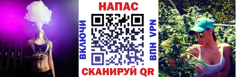 Каннабис сатива как найти закладки Кузнецк